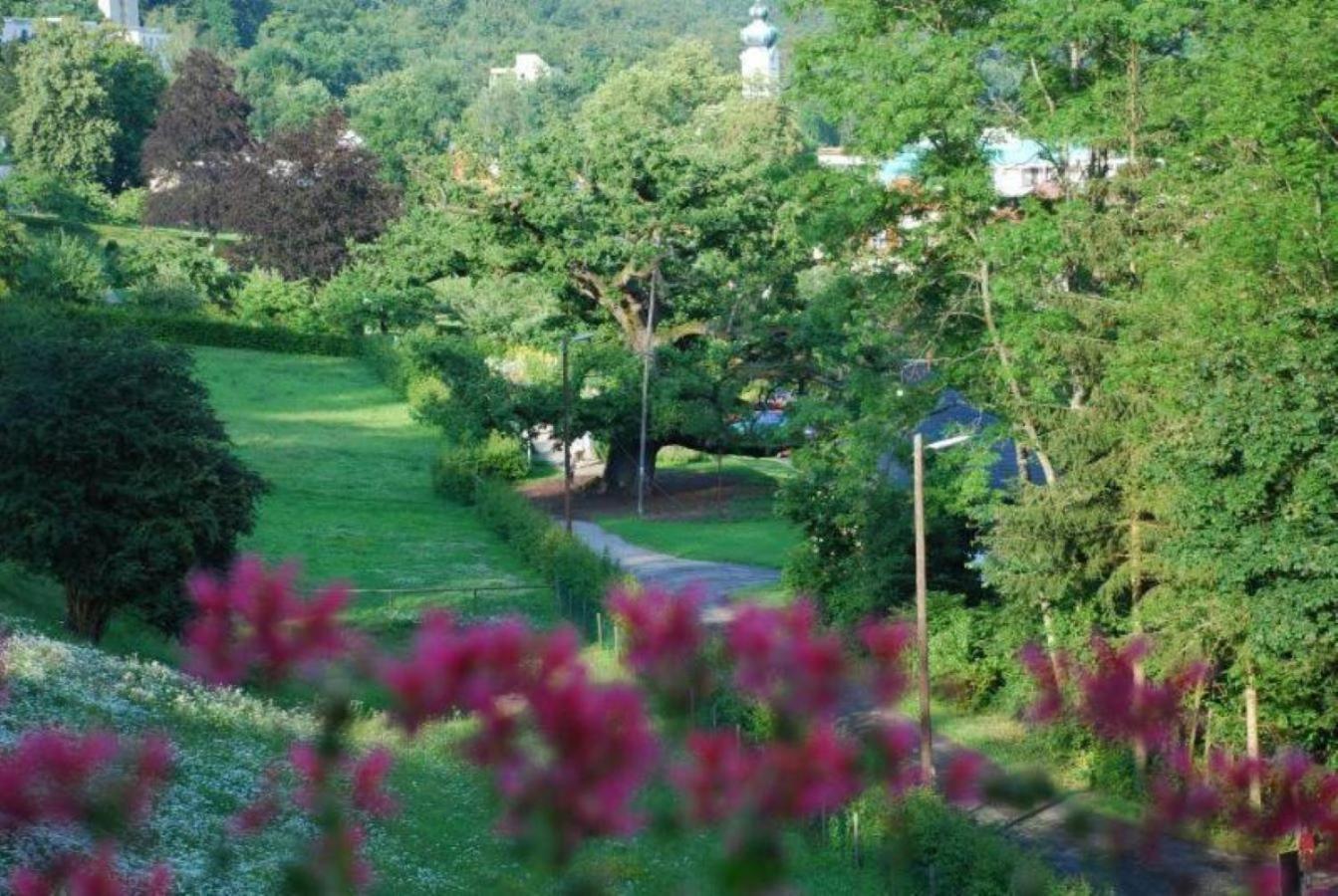 Staatsbad Brückenau Rhoen Hotel Waldcafe St. Georg מראה חיצוני תמונה